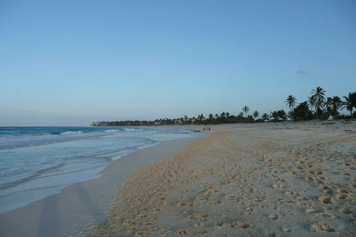 A quiet stretch of turquoise coastline near Punta Cana with palm trees along the shore.