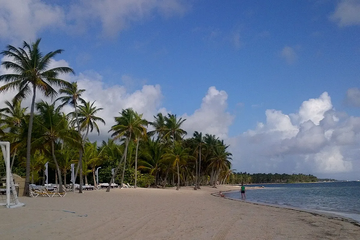 Palmeras junto a la arena blanca y el agua turquesa en calma de una playa de Punta Cana