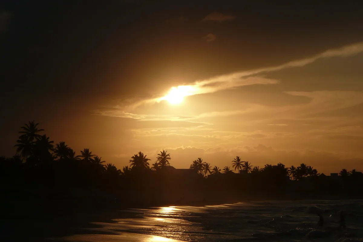 El sol poniéndose detrás de una línea de palmeras en una playa de Punta Cana, República Dominicana